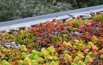 the cost of Mynydd Marian green roof installation