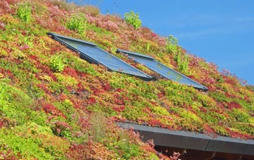 Mynydd Marian living roof systems