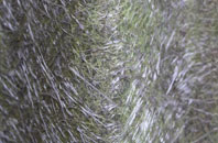 Mynydd Marian fibreglass roof work